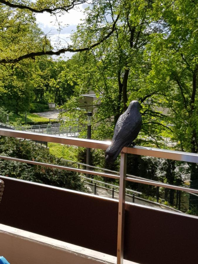 Appartementresidenz Am Kurpark バート・ザルツフレン エクステリア 写真